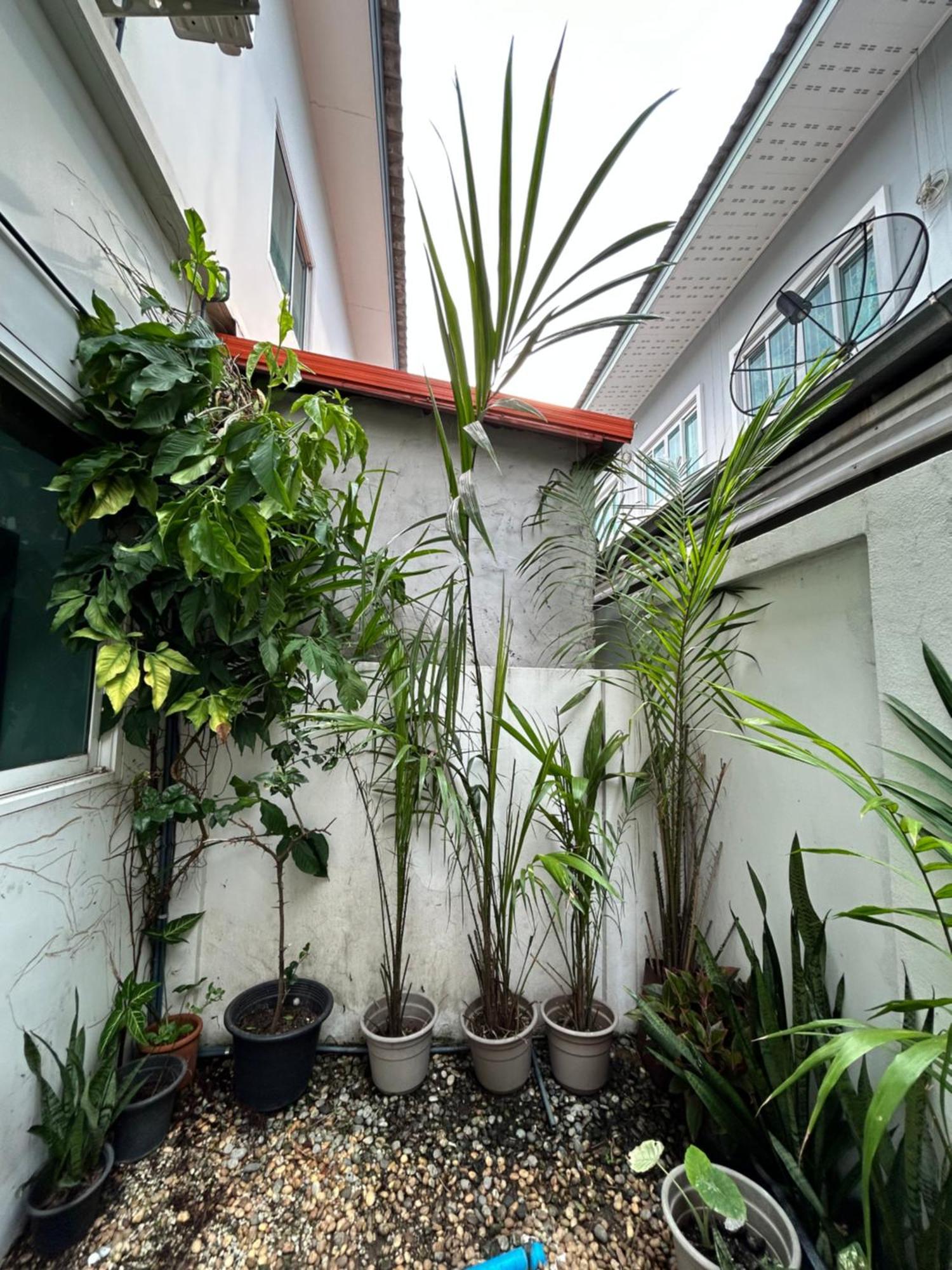 ไนซ์สเตย์ เฮาส์ แอทคลองสาม รังสิต คลองหลวง ปทุมธานี Nice Stay House At Khlong Sam - Rangsit - Khlong Luang - Phathumthani 외부 사진